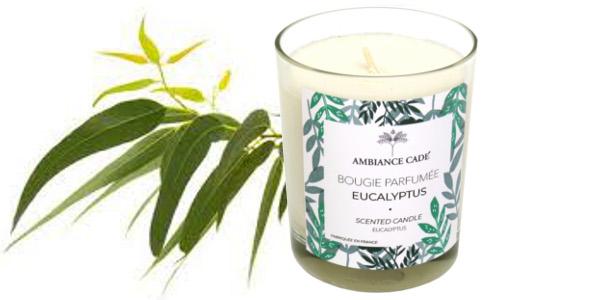 BOUGIE PARFUMEE EUCALYPTUS A L'HUILE ESSENTIELLE DE CADE