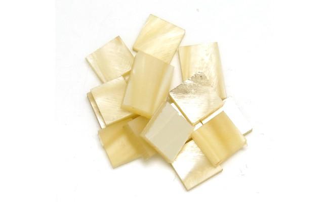 CHUTES DE RESINE NACREE CHAMPAGNE POUR MANCHE