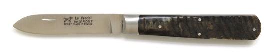 Couteau Pradel pliant en bélier lame inox