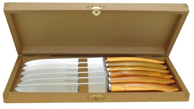 Coffret 6 couteaux Thiers manche plexi