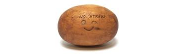 galet anti-mite en bois de cade NO STRESS