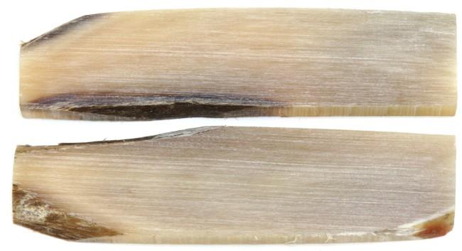 2 PLAQUETTES EN POINTE DE CORNE BLONDE CLAIRE TYPE A - POUR MONTAGE DE COUTEAU 