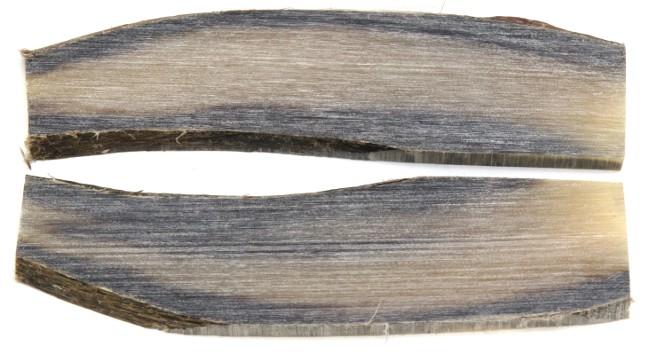 2 PLAQUETTES EN POINTE DE CORNE BLONDE JASPEE TYPE A - POUR MONTAGE DE COUTEAU 