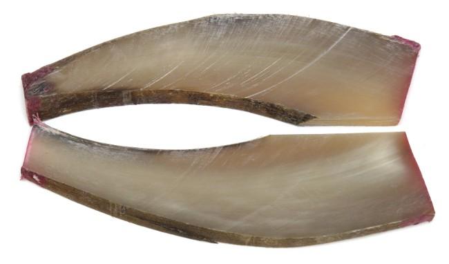 2 PLAQUETTES EN POINTE DE CORNE BLONDE CLAIRE TYPE B - POUR MONTAGE DE COUTEAU