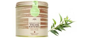 Poudre de cade à l'eucalyptus